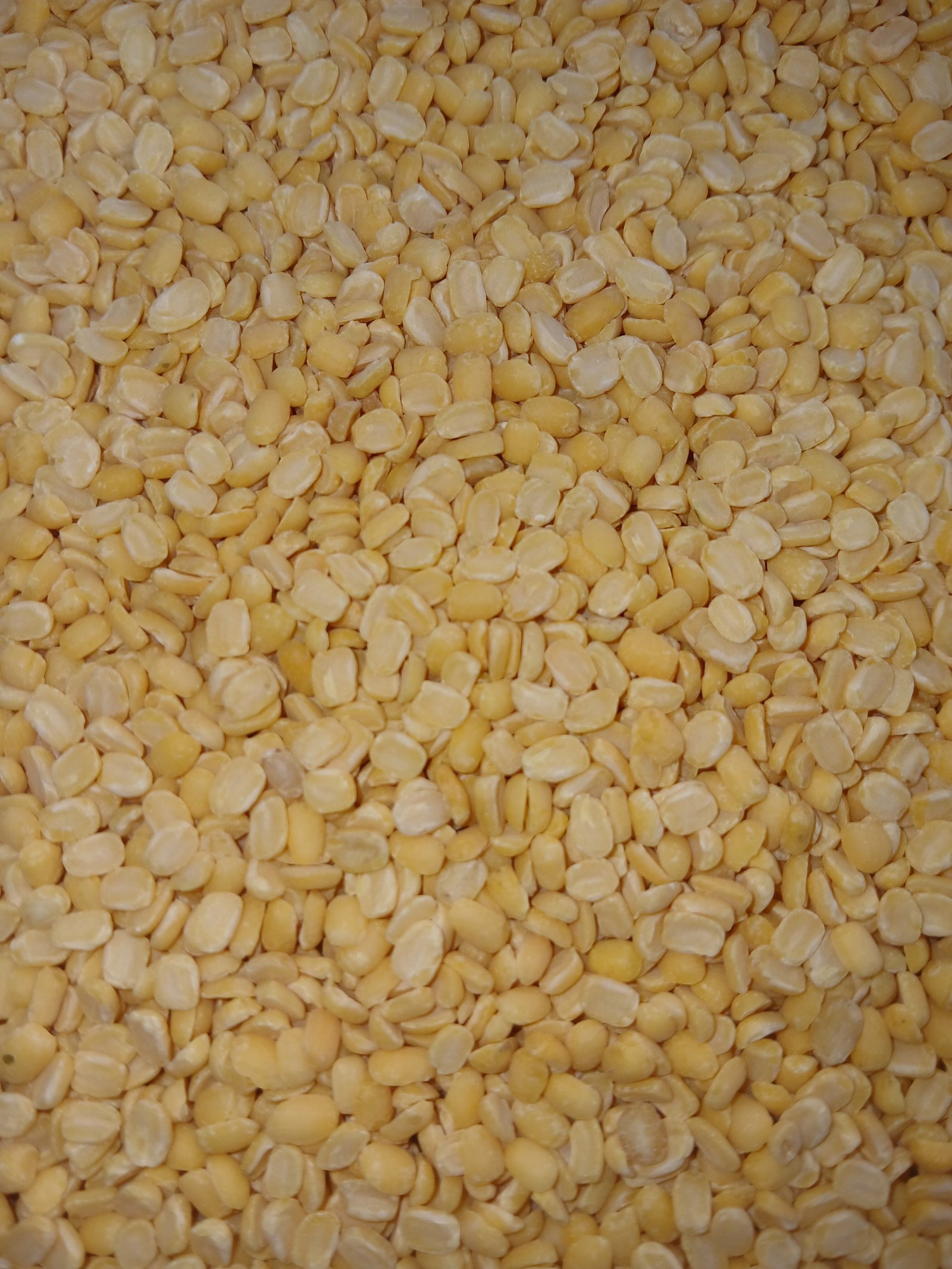 Talai